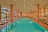 Paloma Grida -