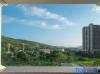 Orbit Resort