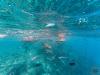 Kagi Maldives Spa Island
