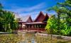 Mangrove Tree Resort