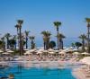 Paloma Grida -