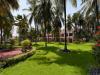 The Golden Palms Hotel