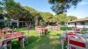 Starlight Resort Hotel -