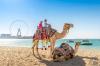 The Ritz Carlton Dubai