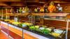 Grand Yazici Club Marmaris Palace