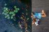 The Ritz-Carlton Bali