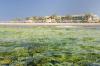Barcelo Tiran Sharm