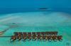 Dhigufaru Island Resort