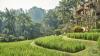 Four Seasons Resort Bali At Sayan