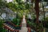 The Surin Phuket