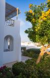 Novotel Palm