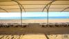 Sensitive Premium Resort