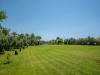 Mc Arancia Resort