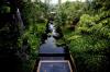 Anantara Bophut Resort