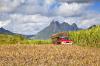 Intercontinental Resort Mauritius