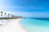 Joy Island