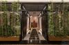 Elite Luxury Suite