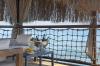 Blue Marlin Deluxe Spa