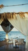 Desert Rose Resort