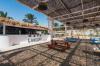 Desert Rose Resort