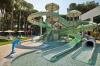 Paloma Grida -