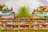 Domina Coral Bay Harem